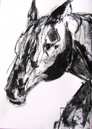 Frison de Castluz 2015