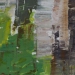 Bouleau des Causses